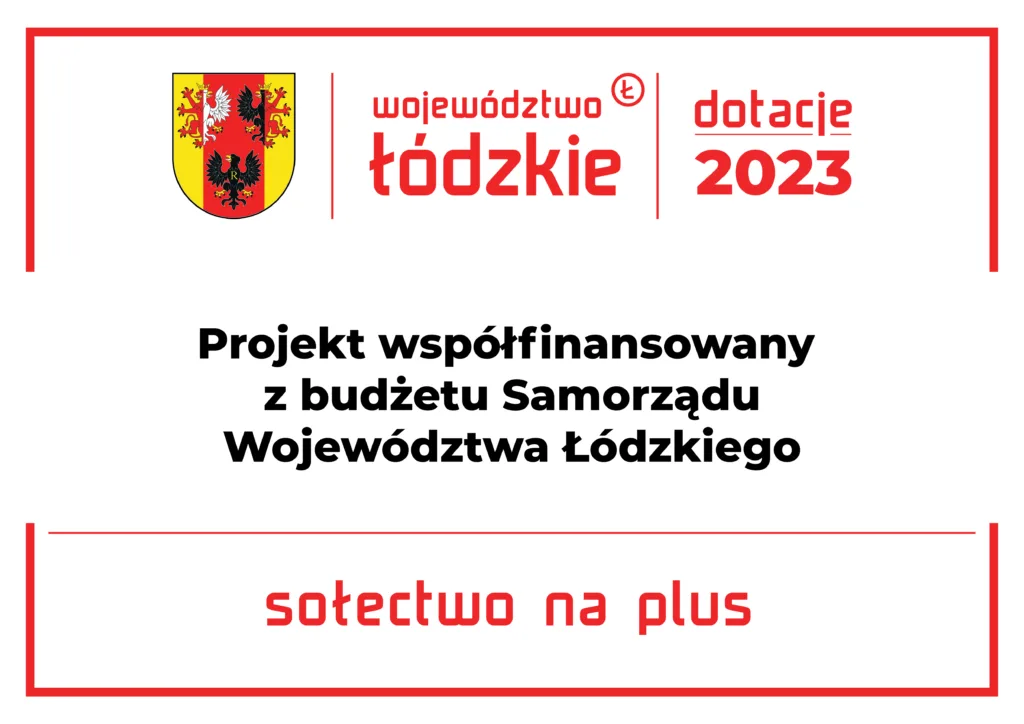 Read more about the article Grant „ Sołectwo na Plus” w Łubnicach zakończony