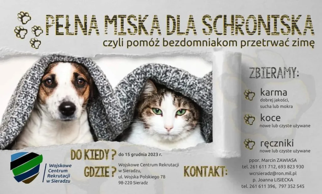 Read more about the article Pełna Miska dla Schroniska
