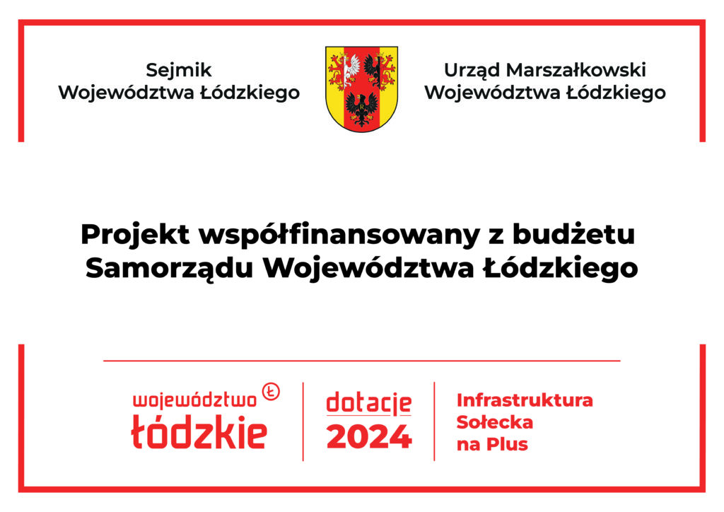 Read more about the article Zakończenie realizacji projektu w świetlicy wiejskiej w Łubnicach!