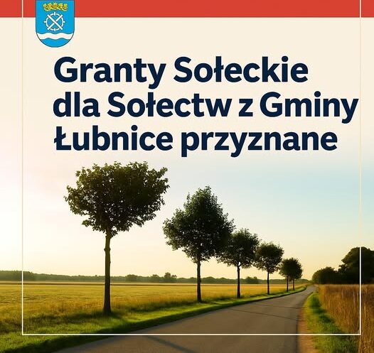 Read more about the article Znamy wyniki naboru na „Granty Sołeckie” 2025!