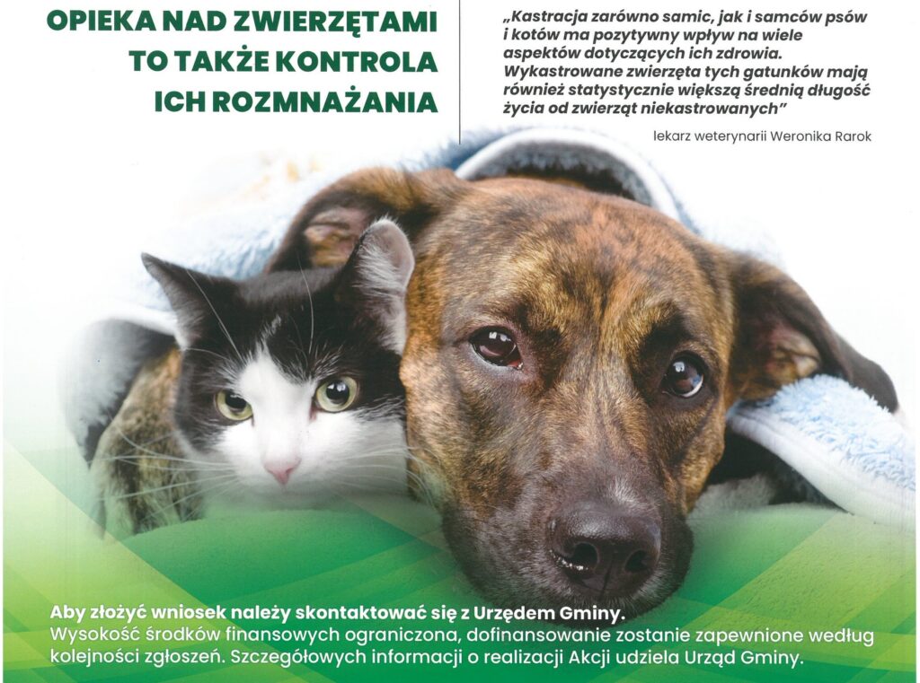 Read more about the article Akcja bezpłatnej kastracji zwierząt