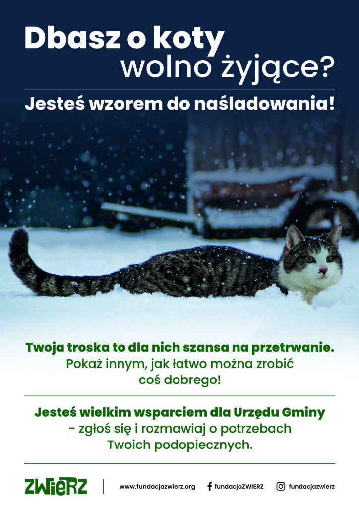 Read more about the article Wspólnie dla kotów wolnożyjących