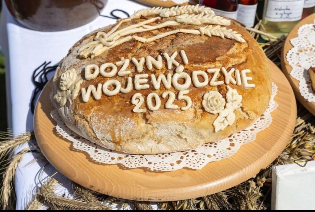 Read more about the article Dożynki Wojewódzkie 2025 – Buczek