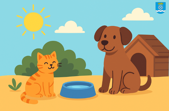 Read more about the article Mały gest, wielka moc – wystaw miskę!