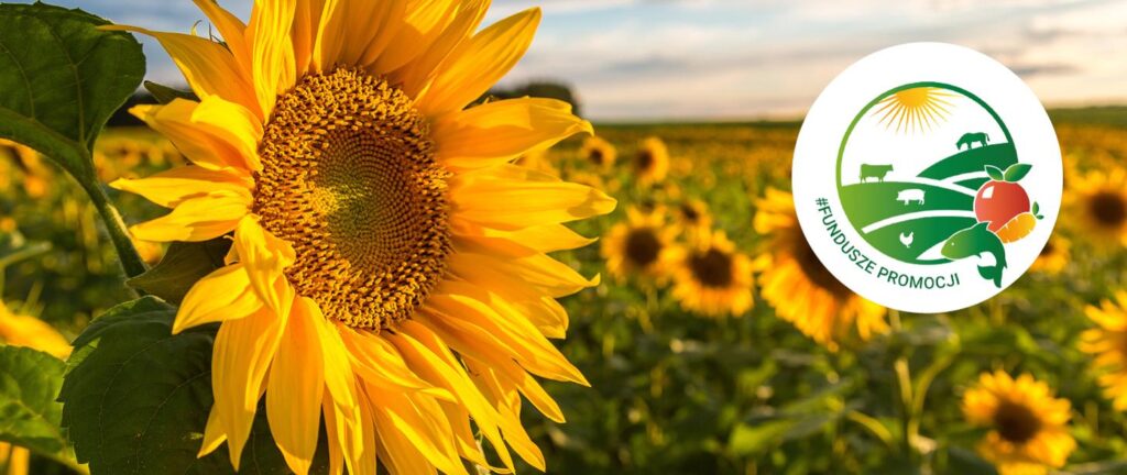Read more about the article Ważne zmiany w Funduszach Promocji Produktów Rolno-Spożywczych