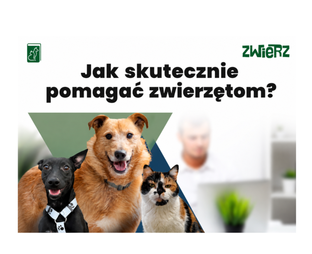 Read more about the article Bezpłatne szkolenia dla opiekunów zwierząt